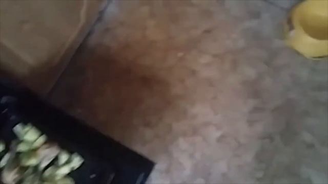 Картошка с куриными ножками. Простой рецепт в духовке. И Батон) смотреть онлайн