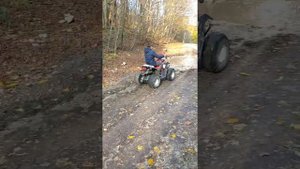 На что способен квадроцикл стелс 50к