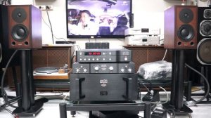 Mark Levinson 26, Mark Levinson 23.5