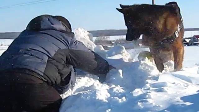 Лютик,папа и аппорт :-) смотреть онлайн