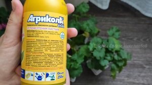 1 СРЕДСТВО для ПЕЛАРГОНИИ (ГЕРАНИ) И Листья Станут Зелеными, Спасаем Пеларгонию от Желтых Листьев