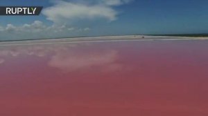 Чудо природы: потрясающая розовая лагуна в Мексике