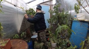 Сырость в подземной теплице