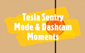 Tesla Sentry Mode & Dashcam Moments