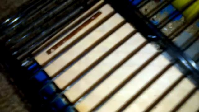 Обзор клеток смотреть онлайн