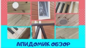 Апидомик. Сон на пчелах. (краткий обзор внутри), Чел. Обл, 10.05.20г (Bee.)