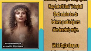 147. Sone - William Shakespeare Soneleri (Şiir Dinle) Günay Aktürk