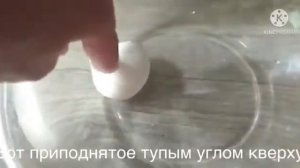 Как определить свежесть яйца