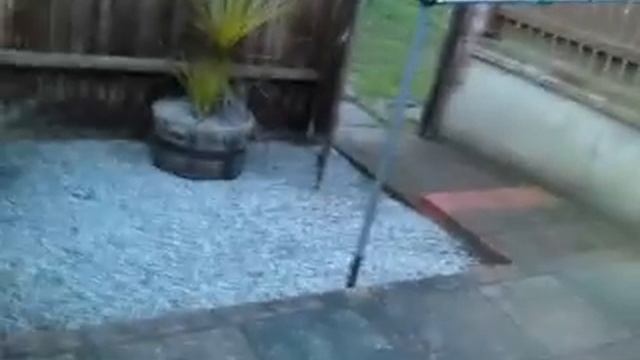 Honda Hornet 600 Running idle смотреть онлайн