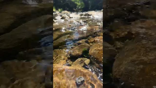 Ручей с кристально чистой водой, журчание воды