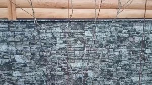 ?Обрезка плетистых роз весной.Подробное видео.