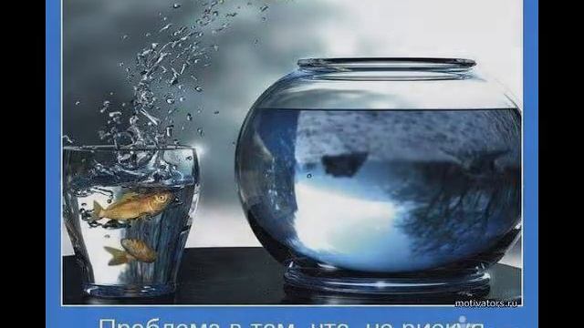 Владимир Малярчук-Белая Орхидея смотреть онлайн