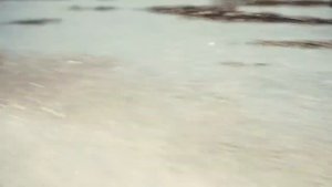 Рыболовная база ‘Блесна’ в Астрахани!?