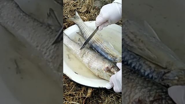 Как быстро почистить рыбку?от чешуек, хозяйкам на заметку смотреть онлайн