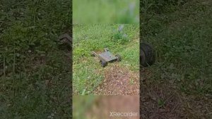 Косилка на радиоуправлении из гироскутера