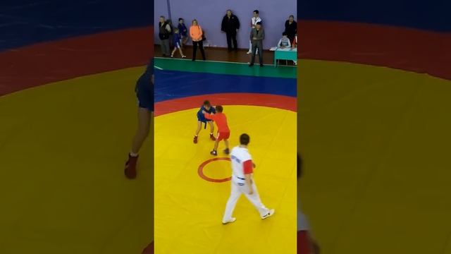 Соревнование по борьбе самбо в Кандалакша 12.02.2017 смотреть онлайн