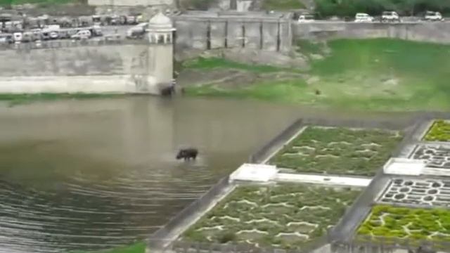 Индия, ти си просто прекрасна! (India, you are just wonderful) смотреть онлайн