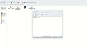 Скрипты Debian