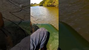 рамовая сеть в воде 20 минут результат