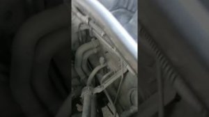 Ej204 стук в двигателе