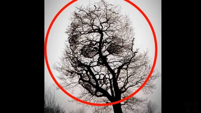 30 ЗАГАДОЧНЫХ ФОТО КОТОРЫХ НЕ ДОЛЖНО БЫТЬ! смотреть онлайн