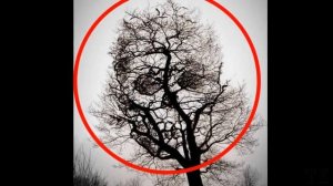 30 ЗАГАДОЧНЫХ ФОТО КОТОРЫХ НЕ ДОЛЖНО БЫТЬ!