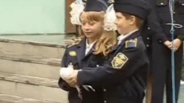 Голубь в коматозе