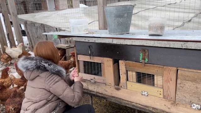 БУДУ СПАСАТЬ ИХ ДО ПОСЛЕДНЕГО! ГОТОВИМ ДОМА! НАША ФЕРМА! ЖИЗНЬ ПРОСТЫХ ЛЮДЕЙ В ДЕРЕВНЕ! смотреть онлайн