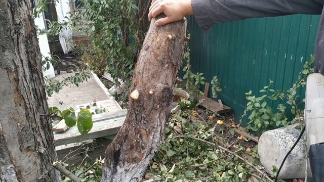 Нужна ли вам сабельная пила(ответ в этом видео) тяжёлый тест драйв смотреть онлайн