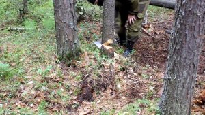 Блиндаж своими руками (2)