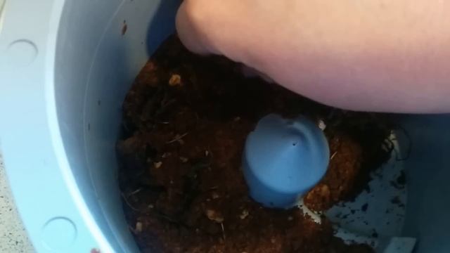 First Impressions -- Food Cycler CS-10 -- Indoor Residential Composter смотреть онлайн