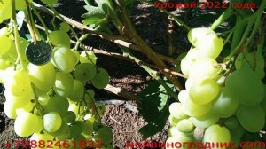 Супер Экстра