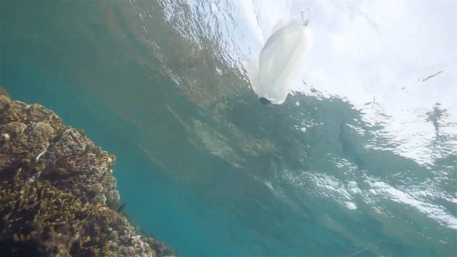 Видеоурок "Море мусора" смотреть онлайн