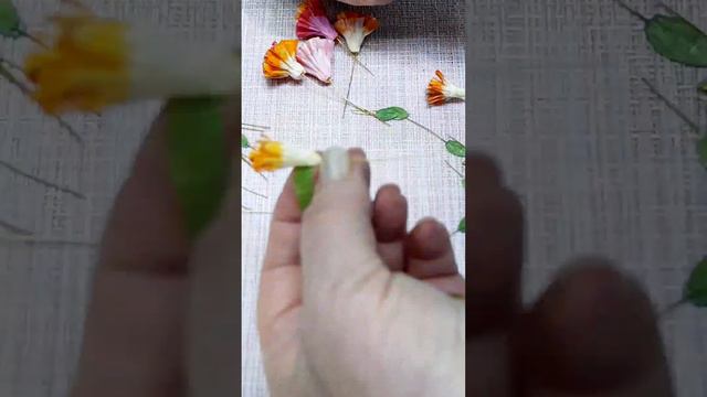 Бумажные цветы