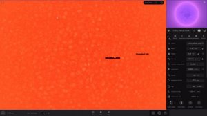 Westerlund 1-26 VS Stephenson 2-18