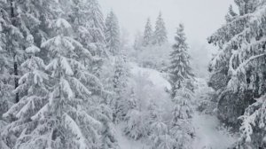 Старая добрая сказка "Снеговик"  Г. Х. Андерсен