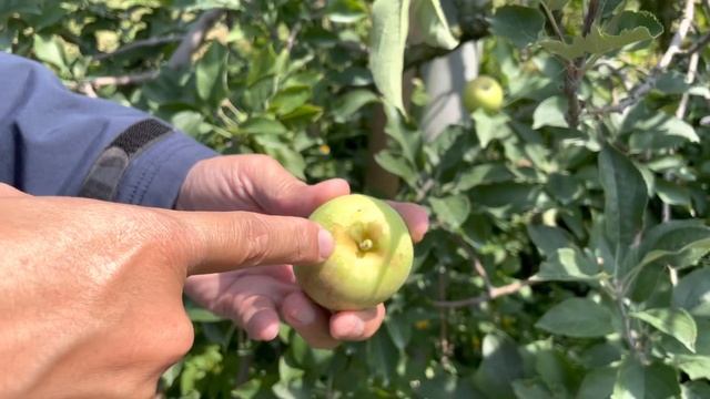 Our Best of Batu, Indonesia смотреть онлайн