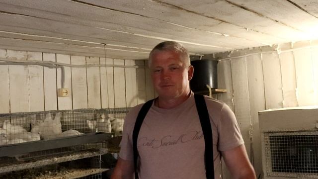 Белый Альбинос 45 дней Забойный вес Как отличить самца от самки