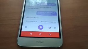 Алиса скажи 300...