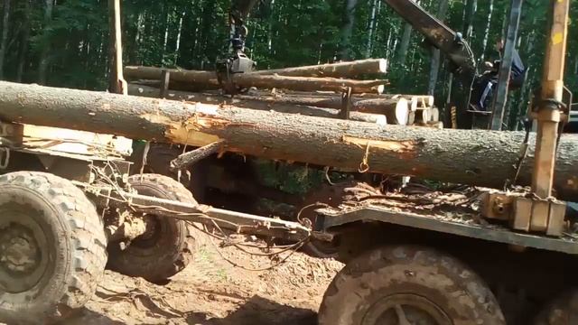 Перевалка пиловочника с болотохода Т-150