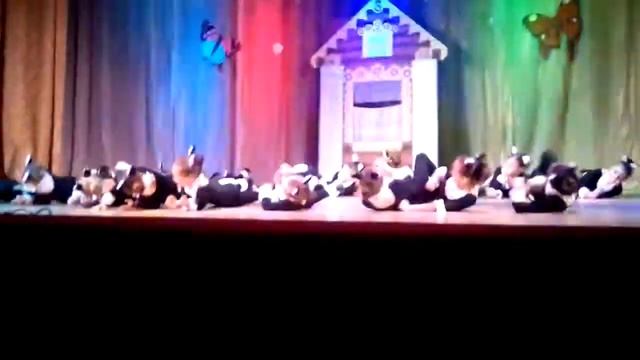 Наша кошка переходила котят ( Клип кошка без породная).. смотреть онлайн