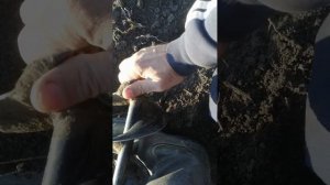 Бензобур. Бурим мерзлую почву. 14.01.2023