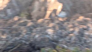 Отвал. Начало зоны отчуждения. Провал города Березники. Ручей с отвала в провал. Пермский край.