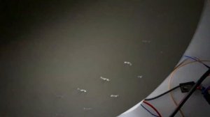 Механический телевизор