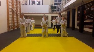 Желтый пояс Тхэквандо МФТ тренировка туль Саджи Чириги