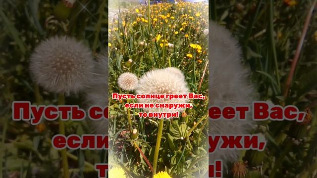 Одуваны