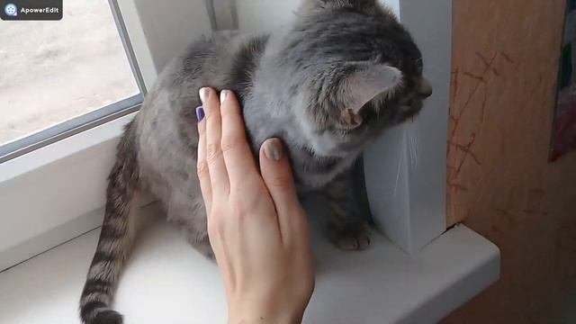ПЕРЕЕЗД ИЗ КАЗАХСТАНА В РОССИЮ/ЖИЗНЬ ПРОСТОЙ СЕМЬИ В РОССИИ/ОДЕЛИ МАКСИМА