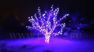 Светодиодная подсветка деревьев