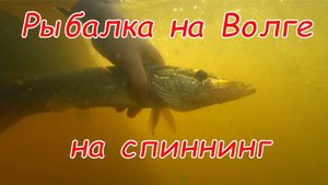 Рыбалка на Волге на спиннинг. Ловля щуки на воблеры