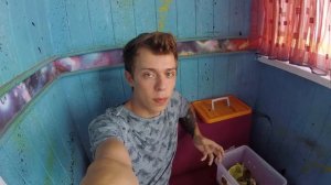 Содержание ТУРКМЕНСКИХ тараканов Pet Vet